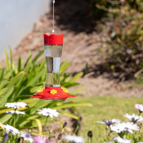 Vista 7 de MEKKAPRO Comedero para colibríes para exteriores hecho de vidrio, comedero para colibríes para exteriores, colgante a prueba de hormigas y abejas