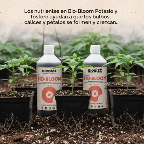 Vista 4 de Biobizz Bio-Bloom 1L