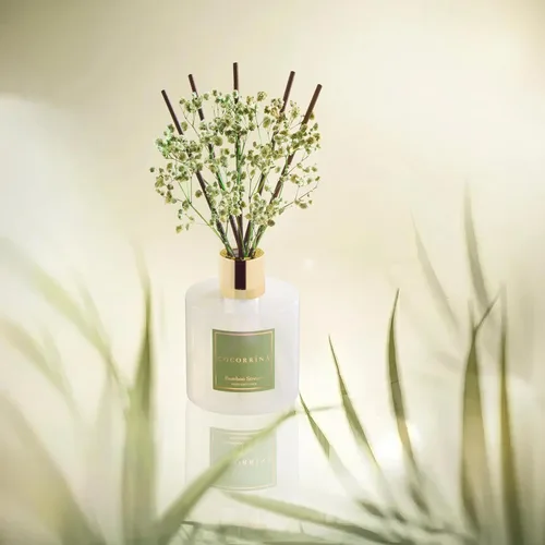 Vista 4 de Difusor de Varillas Cocorrína - Difusor Aromatizante con Aroma de Arroyo de Bambú con 8 Varillas, Difusor de Fragancia para Hogar, Decoración