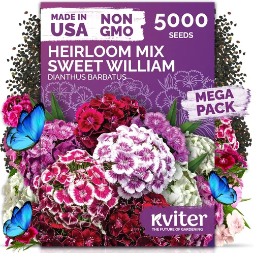 Vista 46 de KVITER 15,000 semillas de rosa musgo mixta para plantar (Portulaca grandiflora) – Cubierta de suelo con floración de reliquia, semilla de Portulaca