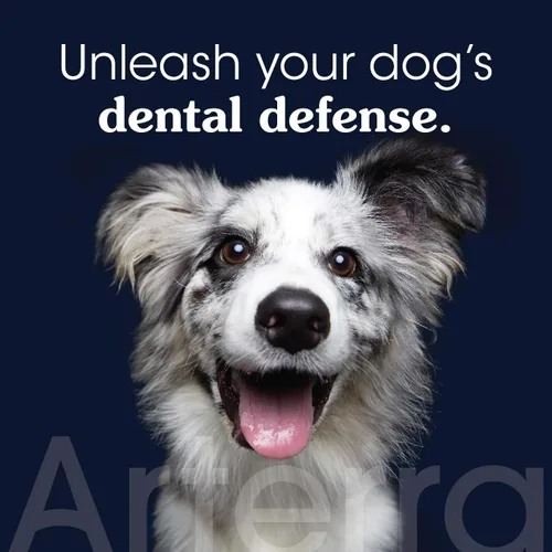 Vista 2 de Pasta de dientes remineralizante para perros, grado veterinario, con nano-hidroxiapatita, revierte la caries en etapa temprana, limpia los dientes