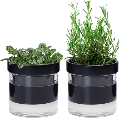Vista 16 de Phoenix Vine Maceta de riego automático de 4 pulgadas, maceta de arcilla de terracota con depósito de vidrio para plantas de interior, hierbas