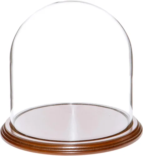 Vista 4 de Plymor Cúpula de cristal de 8" x 8" (base de madera MDF negra)