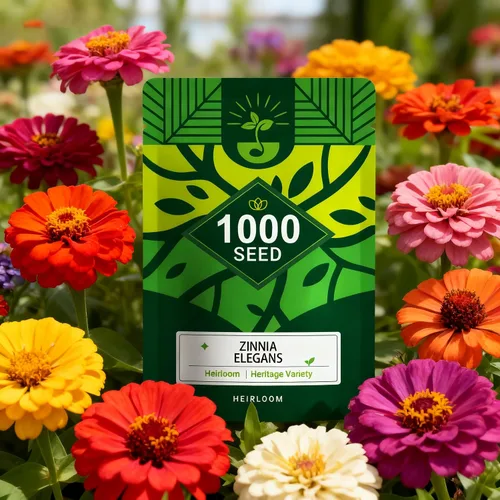 Vista 16 de Semillas de equinácea púrpura (Echinacea purpurea), flores perennes nativas resistentes, período de floración largo, ideales para hacer flores
