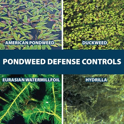 Vista 4 de Airmax Ultra Pondweed Defense - Mata malezas acuáticas y plantas, fácil aplicación en aerosol para limpiar y limpiar agua de estanque grande y lago
