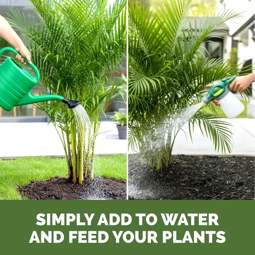 Vista 5 de Fertilizante para palmeras para todas las palmas y helechos, alimento líquido para plantas 8 oz (250mL)