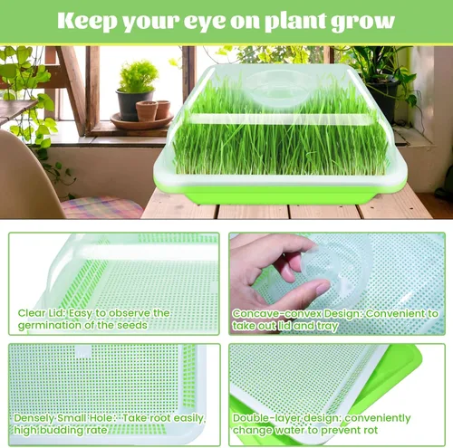 Vista 3 de Legigo Paquete de 2 Bandejas Germinadoras de Semillas con Tapas - Bandeja de Germinación de Cultivo Sin Suelo, Bandejas de Cultivo de Microvegetales