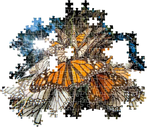 Vista 5 de Clementoni - 39732 - Puzzle National Geographic - Mariposas Monarca - Rompecabezas de 1000 piezas, rompecabezas para adultos, rompecabezas
