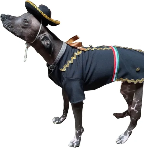 Vista 3 de Disfraz de perro Mariachi XS