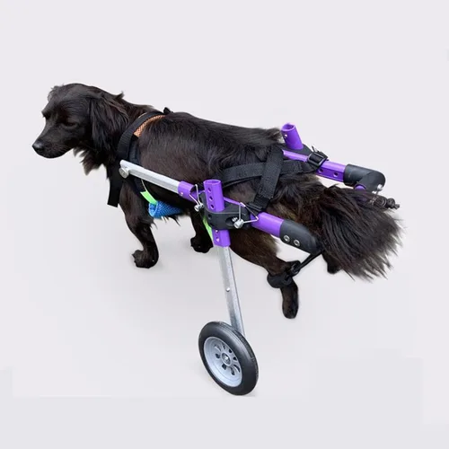 Vista 4 de Silla de ruedas para perro de 2 ruedas, silla de ruedas ajustable para patas traseras, carritos para perros pequeños y medianos para discapacitados