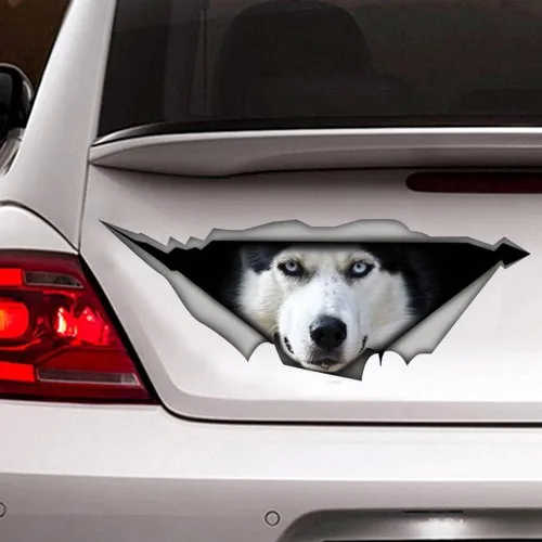 Vista 7 de Calcomanía de vinilo 3D para auto con diseño de beagle, calcomanías impermeables para auto con diseño de perro, decoración con diseño de animales