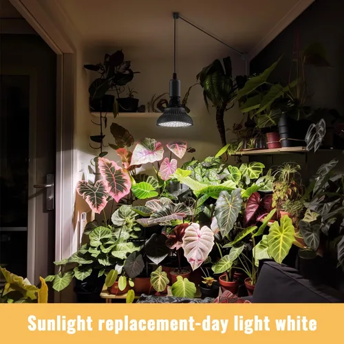 Vista 3 de Luces colgantes de cultivo para plantas de interior, 25 W 5000 K, bombillas LED de cultivo colgantes con temporizador, luz de planta colgante