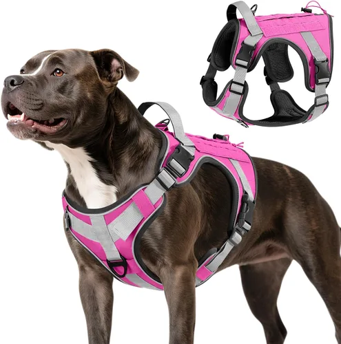Vista 27 de VavoPaw cinturón de seguridad para perro, arnés de coche con hebilla ajustable para perro, cinturón de seguridad de nailon para mascotas, resistente