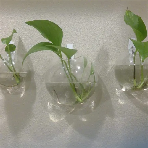 Vista 6 de Juego de 3 jarrones de pared de vidrio con forma de cuenco de burbujas, terrario para colgar en la pared, macetas de pared para interiores