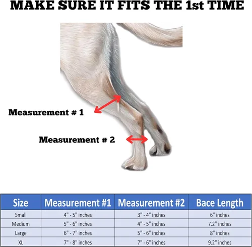 Vista 2 de Doggie Stylz Soportes para patas de perro, soporte ajustable
