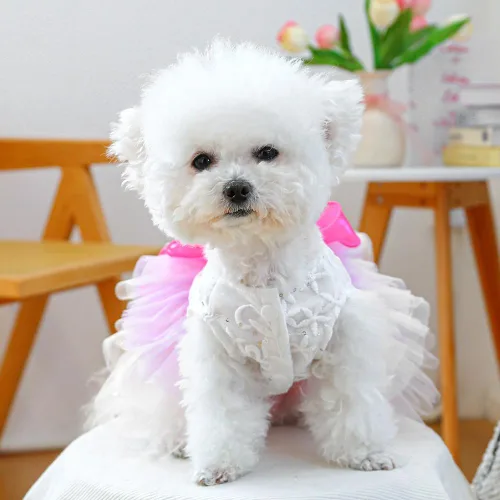 Vista 49 de ANIAC Daisy Vestidos para Perros Pequeños Hembra con Anillo para Correa, Nudo de Lazo Vestido de Boda para Cachorra, Traje de Gato de San Valentín