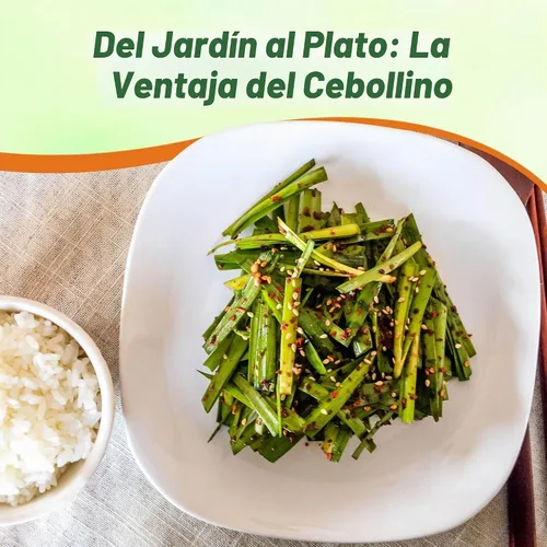 Vista 6 de Outsidepride Semillas de jardín de hierbas de cebollino perenne de 1 oz para microverdes, brotes y cocina