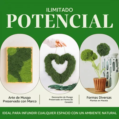 Vista 3 de Musgo artificial artificial de 5.3 onzas para manualidades, musgo decorativo preservado para plantas, jardín de hadas, bricolaje, paredes Verde