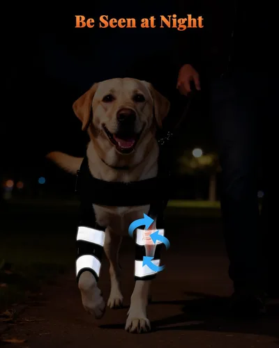 Vista 5 de Petanims Soporte de pierna delantera para perro, soporte de rodilla/carpalo/muñeca para perros, codo ajustable con soporte para el hombro, protector