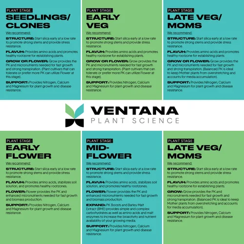 Vista 6 de Suplemento de sílice de estructura VPS (1 galón)