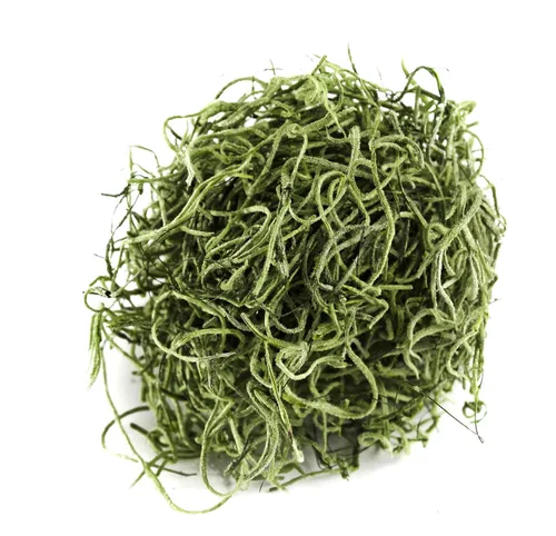 Vista 2 de SuperMoss Musgo Español Conservado, Albahaca
