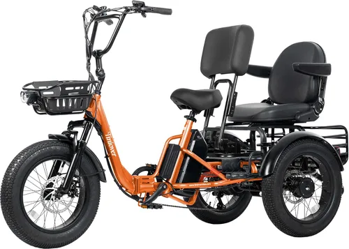 Vista 20 de Folding Electric Tricycle for Adults 2 Seater, 20MPH 100 Miles 4" Wide Fat Tire Electric Trike, 3 Wheel Electric Bike 1200W, 48V 20AH Battery