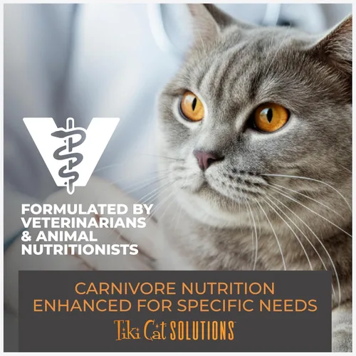 Vista 8 de Tiki Cat Born Carnivore - Alimento seco para gatos de peso óptimo, Turquía, bolsa de 2.8 libras
