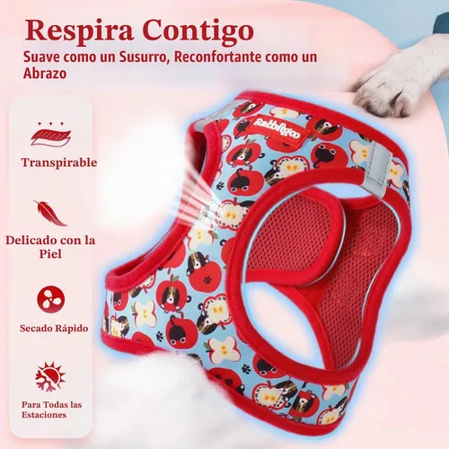 Vista 4 de rabbitgoo Arnés para perro de tamaño pequeño y juego de correa, chaleco Cachorros de manzana