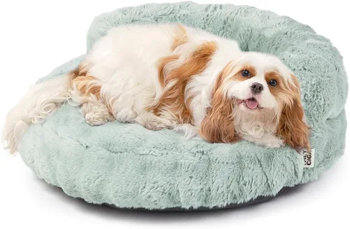 Vista 13 de EHEYCIGA Sofá cama suave para gatos de interior, cama extra pequeña esponjosa para perros con funda extraíble lavable, sofá para mascotas, Camello