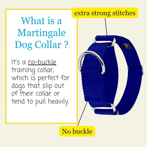 Vista 4 de Country Brook Design - Collar ancho para perro, ajustable para razas grandes - Collar de perro de nailon sólido Martingala