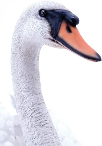 Vista 2 de Hi-Line Gift Ltd Estatua del cisne blanco, 17