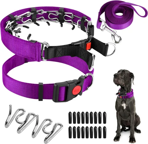 Vista 31 de Collar de entrenamiento de puntas con puntas cómodas y hebilla de cierre rápido – Collar de pellizco para perro con cubierta de nailon