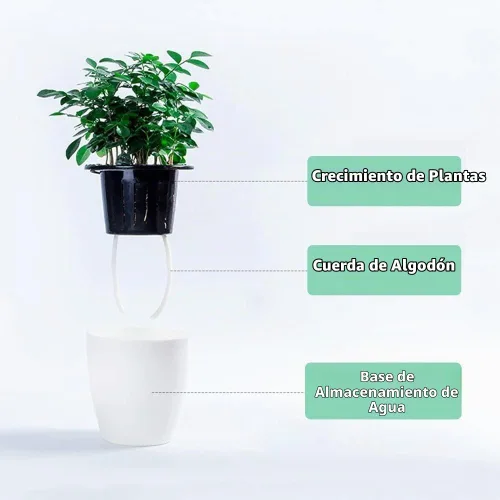 Vista 5 de Maceta de riego automático de 3.5 pulgadas, maceta pequeña de 3 piezas, para todas las plantas, hierbas, violetas africanas, suculentas, flores