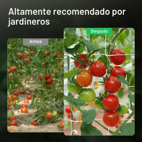 Vista 5 de VIVOSUN Red de enrejado de plantas de 5 x 15 pies, red de cultivo de poliéster resistente, red de enrejado de jardín con malla cuadrada para plantas