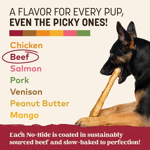 Vista 5 de Earth Animal No Hide Chews - Rollos masticables para perros grandes sin cuero crudo de larga duración, carne de res - 2 unidades Large Beef
