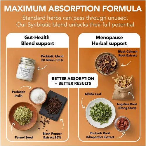 Vista 4 de Suplemento completo de apoyo para la menopausia para mujeres Sinbiótico de menopausia con cohosh negro, Dong Quai, raíz de ruibarbo Ayuda a