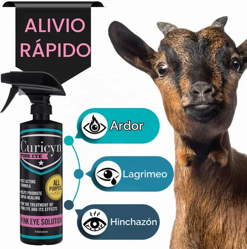 Vista 4 de Curicyn Pink Eye Solution – 16 onzas, fórmula extra fuerte para conjuntivitis, gotas oculares para perros, gatos, ganado y caballos, sin dolor,