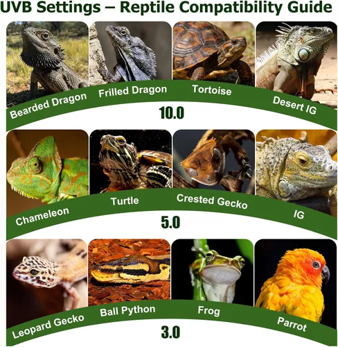 Vista 7 de Luz UVB para reptiles separada UVB y luz diurna 10W HO UVB LED