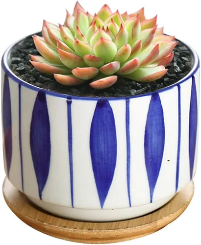Vista 4 de GeLive Maceta de cerámica para suculentas de 3 pulgadas, maceta de cactus, contenedor de flores con bandeja de goteo de bambú, para interiores