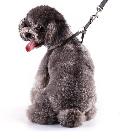 Vista 8 de Rypet - Juego de arnés y correa para perros pequeños, arnés para mascotas sin tirones con chaleco de nailon de malla suave para perros pequeños