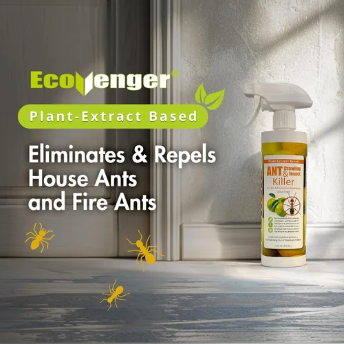Vista 2 de EcoRaider insecticida y hormiguicida (aroma de cítricos) de 16 oz, natural y no tóxico
