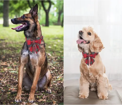Vista 50 de Unique style paws - Collar para perros con corbatín, collar ajustable para perros y gatos, pequeño, mediano y grande