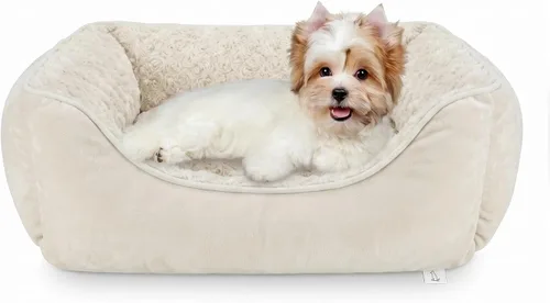 Vista 21 de JOEJOY - Cama rectangular para perros grandes, medianos y pequeños - Cama de sofá ortopédica lavable, suave y transpirable para cachorros