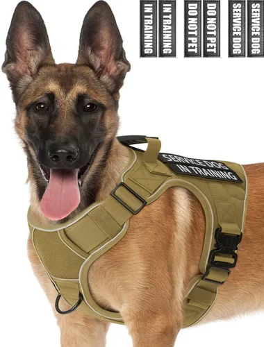 Vista 19 de Chaleco de perro de servicio para perros medianos, arnés de perro de servicio en entrenamiento con parches, chaleco ajustable para perros