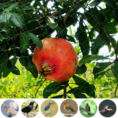 Vista 7 de Red para pájaros para jardín de 6.5 x 50 pies, malla de 1/4 de pulgada, protege arándanos, fresas, tomates, verduras. Red de árboles frutales