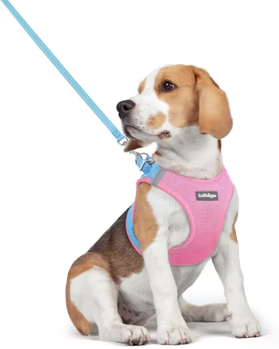 Vista 107 de rabbitgoo Arnés para perro de tamaño pequeño y juego de correa, chaleco Cachorros de manzana