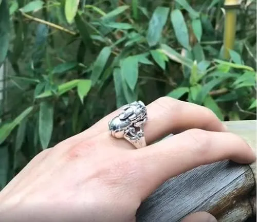 Vista 9 de Anillo de plata de ley 925 con símbolo de la suerte, dragón chino Pixiu