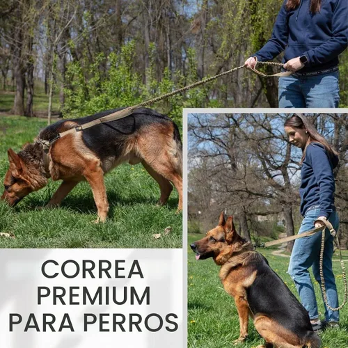 Vista 6 de ADITYNA Correa táctica elástica para perro, 6-7.5 pies, perros medianos Negro