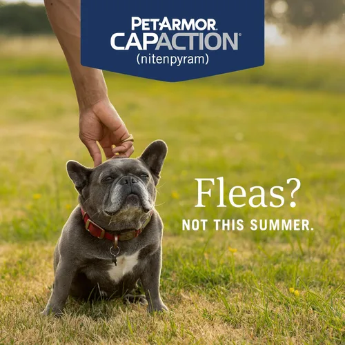 Vista 9 de PetArmor CAPACTION (nitenpiram) Tratamiento oral contra pulgas para perros, tabletas de acción rápida comienzan a matar en 30 minutos, tratamiento