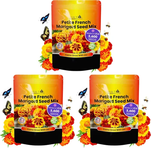 Vista 12 de NatureZ Edge Mezcla de semillas de caléndula, más de 5600 semillas, semillas de caléndula para plantar al aire libre, Marietta delicada, francesa